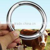 Cow Nose Ring for Sale thumbnail-2
