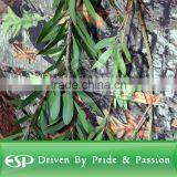 Spring Steel Doghouse Hunting Blinds Camouflage thumbnail-5