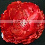 Single Rose thumbnail-1