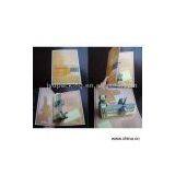 Sell Pop-Up Card (The Notre Dame de Paris) thumbnail-1