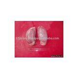 Frozen Pork Testicles thumbnail-1