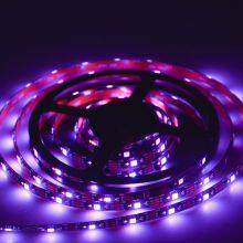New Popular High Brightness 12V Waterproof IP65 30Leds/M LC8808 Flexible Warm White Soft Led Strip Lights thumbnail-4