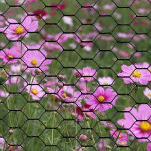 20mmx20mm PVC Coated Hexagonal Chicken Wire Mesh thumbnail-3