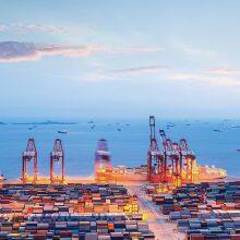 Mediterranean Excellence: Priority Sea Shipping to Greece & Piraeus Port thumbnail-2