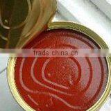 Customized Veries Galic Tomato Sauce Product thumbnail-1