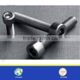 SS Steel Tamper Proof Head Screw