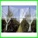 Anti Hail Net,hail Protection Net for Fruit Plantations Apple Tree thumbnail-2