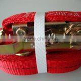 Heavy Duty Tie Down thumbnail-1