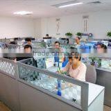 Guangdong Delos Lighting Industrial Co., Ltd. company overview - view 3 thumbnail