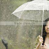 8k Transparent Poe Umbrella thumbnail-5