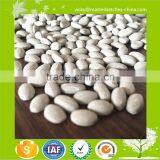 Plastic Desiccant Masterbatch for PE&PP Film/Masterbatch Manufacturer