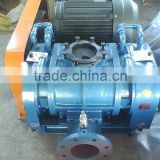 High pressure roots blower