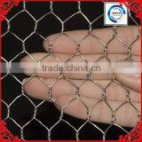 PVC Coated or Galvanized Hexagonal Wire Mesh From Anping Joinwe Factory