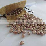 CHITEE BEANS thumbnail-1