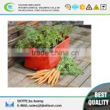 L 18 inches x Width10 inches x Height 10Inch Plastic Carrot Planter Bag,Rectangle Carrot Planters,Plastic Carrot Grow Bags