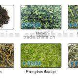 5000+pixel Machines for Sale!fermented Tea Procesing Machines Made in China thumbnail-4