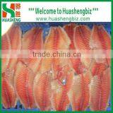Wholesale Frozen Tilapia Fish Fillet co thumbnail-1