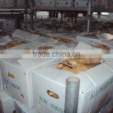 2016 Crop Air Dried Ginger at Good Price thumbnail-5