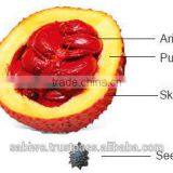 The Best Qualtity GAC FRUIT OIL (Momordica Cochinchinensis) thumbnail-3