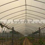 Manufacturer High Quality Mulch Film for Plant LDPE Greenhouse Film thumbnail-1