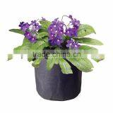 Hydroponic Plant Grow Vegetable Plant Pot thumbnail-1