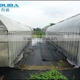 Agriculture Grow Tent thumbnail-3