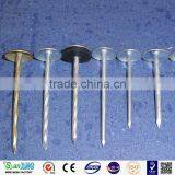 Big Head Roofing Nails Free Sample Carton Packing thumbnail-1