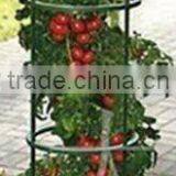 Garden Flower Support thumbnail-1