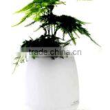 Multi-fucntional Ionic Air Purifying Flower Pot Air Detector thumbnail-3