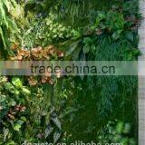 Artificial Primeval Jungle Plant Wall (special Offer/bargain Price:/ Factory Price/outdoor & Indoor / Green / Grass Plant Wall) thumbnail-1