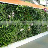 Jungle Forest Vertical Plant Green Wall Indoor Customized Framed Grass Wall thumbnail-6