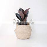 Natural Belly Seagrass Basket / Planter for Home Decoration