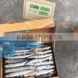 Low Price Seafood Frozen Saury thumbnail-4
