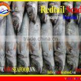 FROZEN WHOLE REDTAIL SCAD thumbnail-1