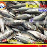 FROZEN MARUADSI WHOLE ROUND (ROUND SCAD) thumbnail-1