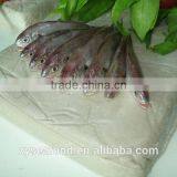 Natural Cheap Block Frozen Halal Fish Surimi thumbnail-1