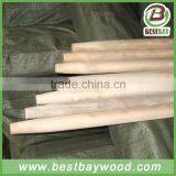 Wooden Handle Shovel 150cm Long thumbnail-2