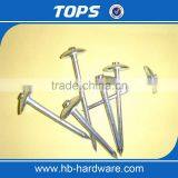 China Umbrella Head Roofing Nails thumbnail-5