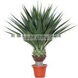 Hot Sale Decor Indoor Artificial Sisal Hemp Tree Decoration Home Artificial Sisal Hemp Tree Decor Indoor Office thumbnail-4