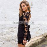 Runwaylover 092 New Style 2017 Ladies Sexy Lace Transparent Party Dress thumbnail-4