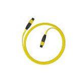 MPO Patch Cord thumbnail-1