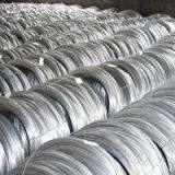 Galvanized Wire