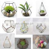 Tabletop Irregular Prism Glass Geometric Terrarium