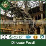 JLDF-1154 Amusment Park Decor of Dinosaur Live Fossils