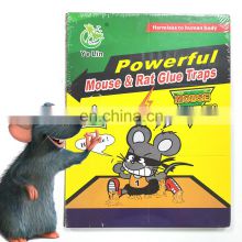 Mouse Killer, buy Factory Customized OEM Pest Control Mouse Trap Mouse Glue  Board on China Suppliers Mobile - 169633623