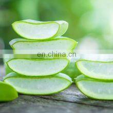 Aloe Vera Jelly Dice/ Best Offer Aloe Vera Dice From Vietnam thumbnail-5