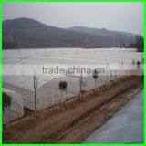 5 Years Use Time Greenhouse Farming Used uv Treated Plastic Woven Greenhouse Film thumbnail-6