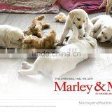 3D Lenticular PETpicture