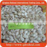 Shin Skin Pumpkin Seeds