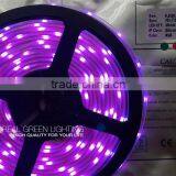 CE & RoHS Approved! Purple 5050 SMD 24V Waterproof LED Strip Lights thumbnail-1